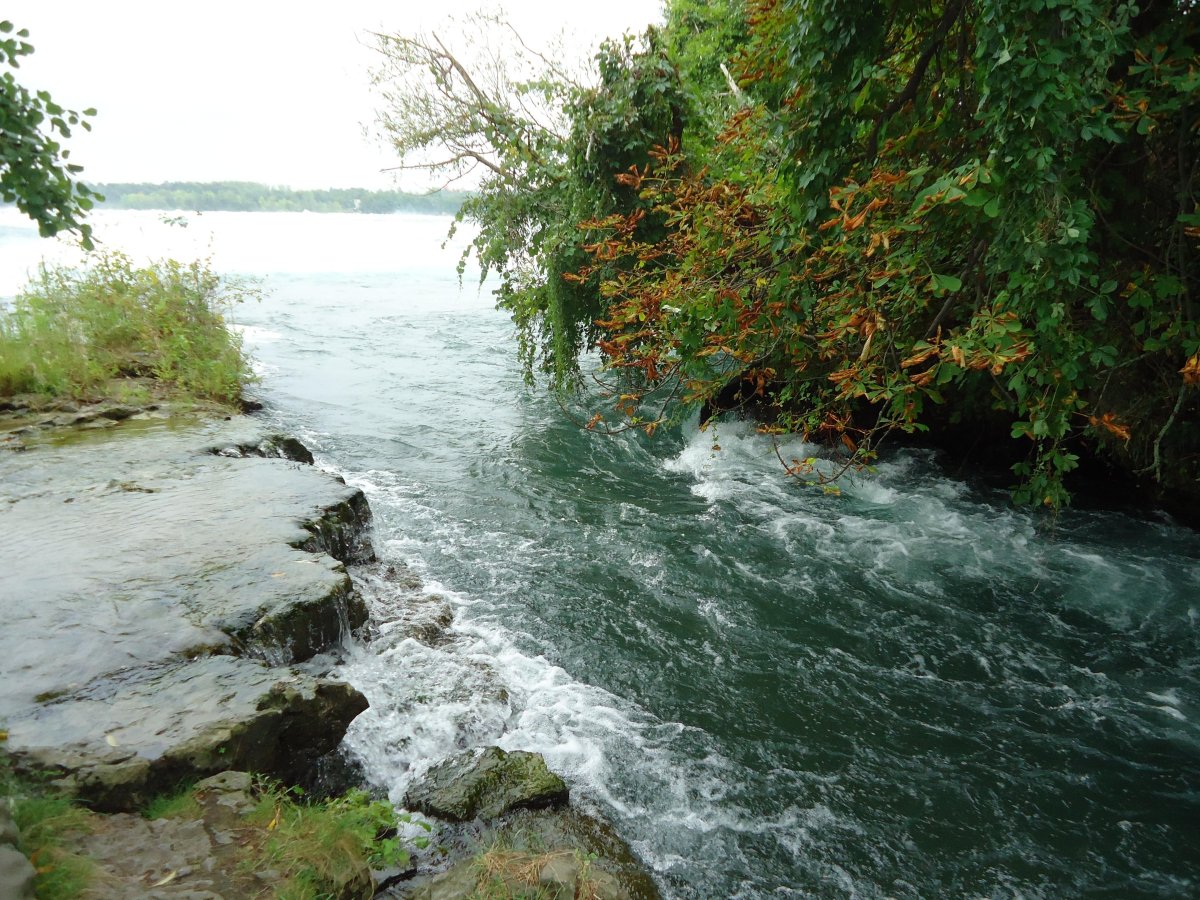 Река вытекающая из озера Эри Канада