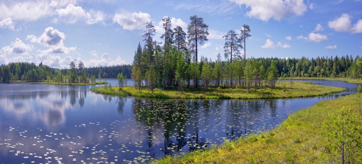 Озеро Морозово Карелия