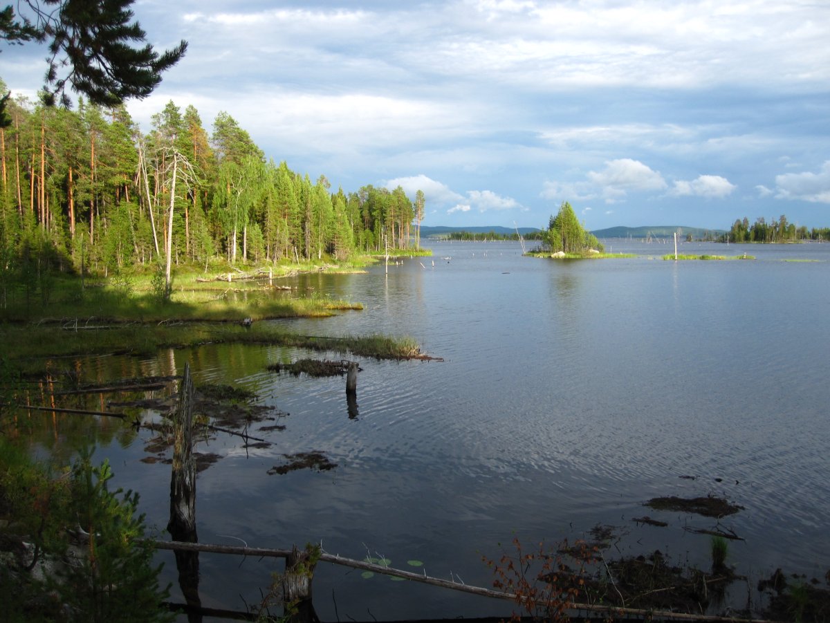 Озеро Питкяярви Карелия
