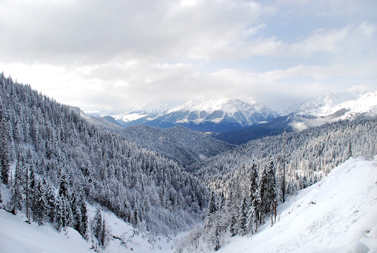 Боржоми Грузия зимой