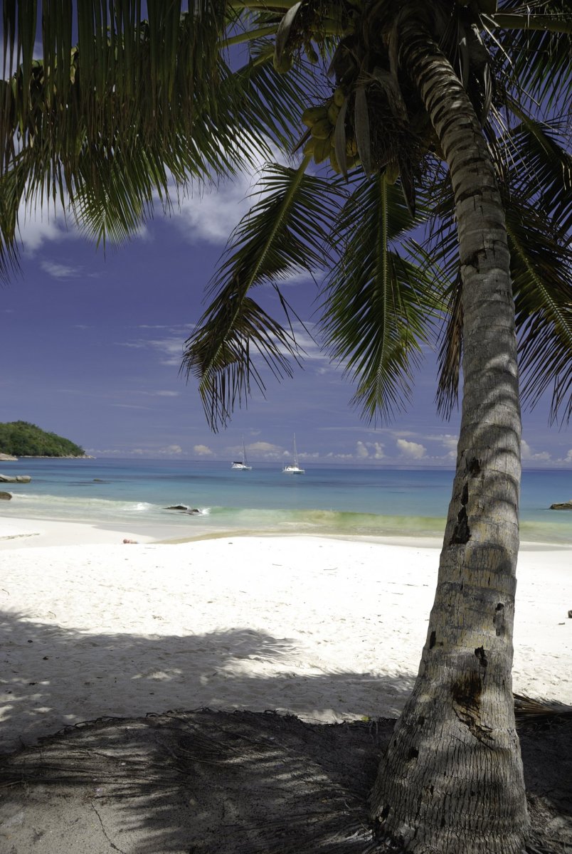 Пляж Anse Union