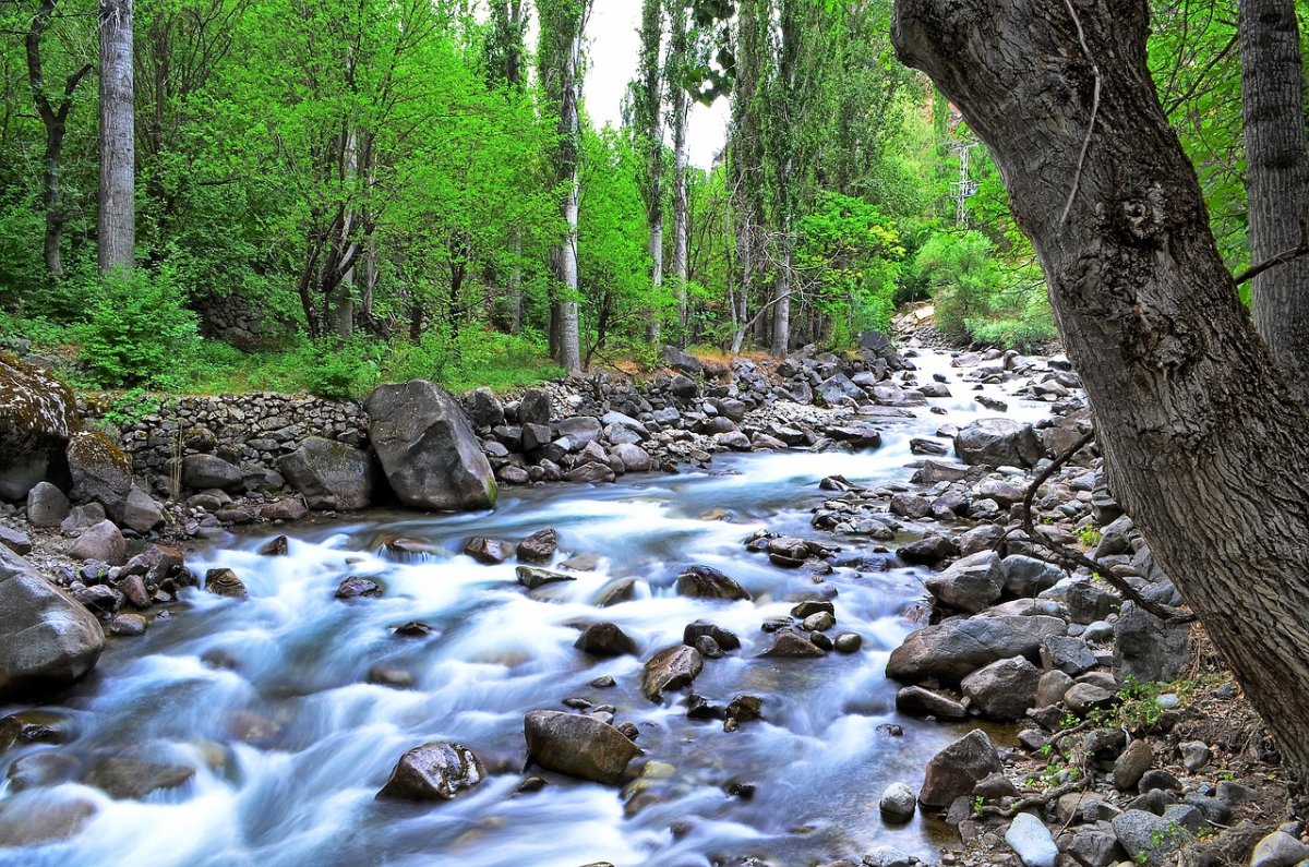 Природа река турки