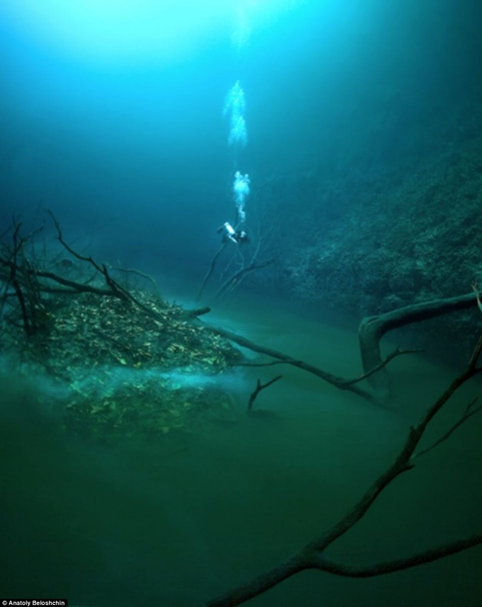 Сенот Ангелита мистическая подводная река в Мексике