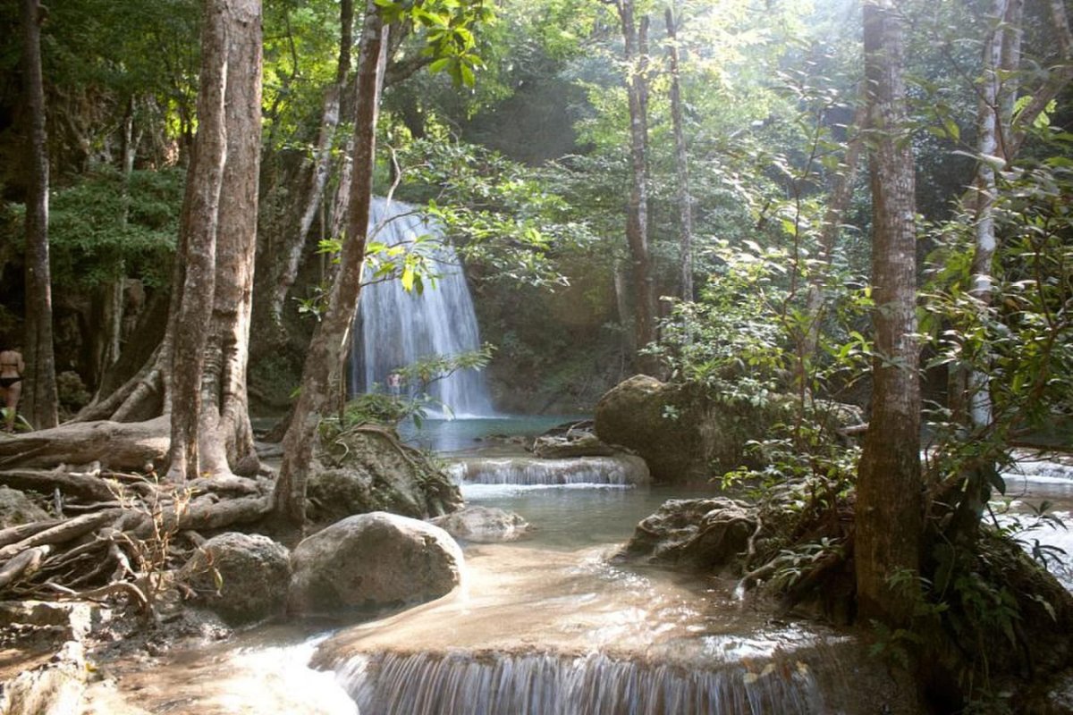 Заповедная зона Тайланда парк