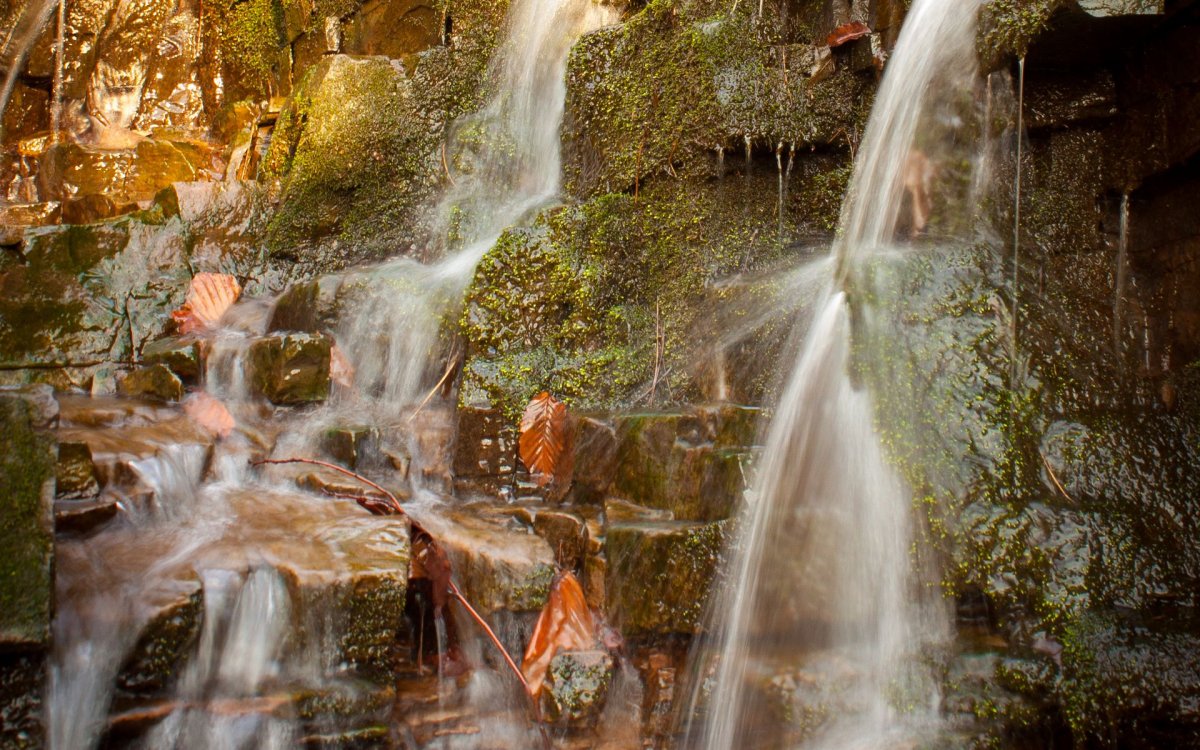 Незабываемая природа с водопадом
