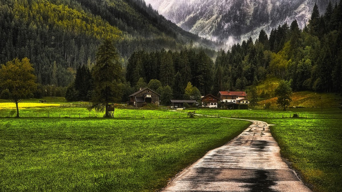 Горы дорога лес Швейцарии