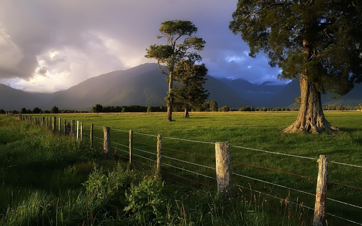 Новая Зеландия поля