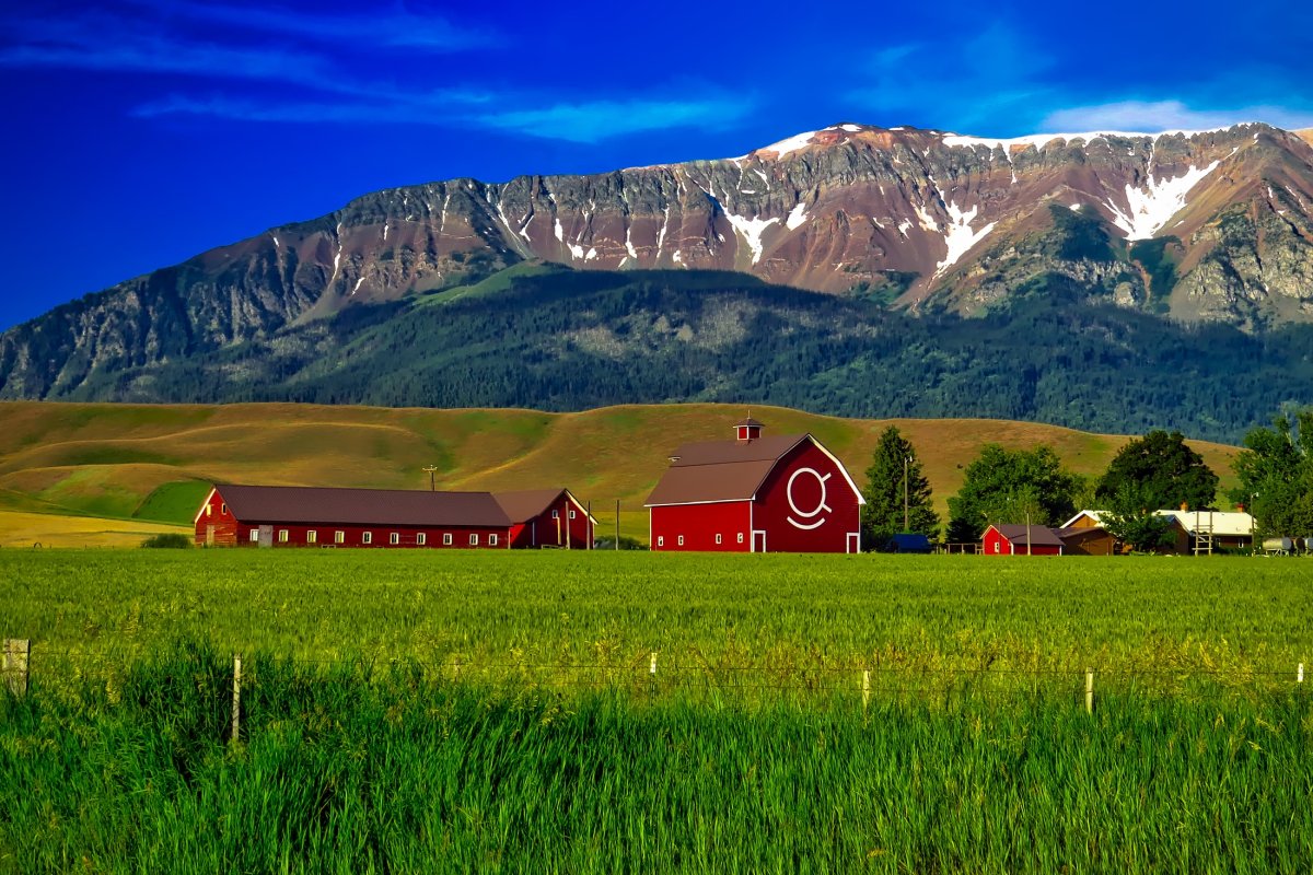 Штат Орегон фермы