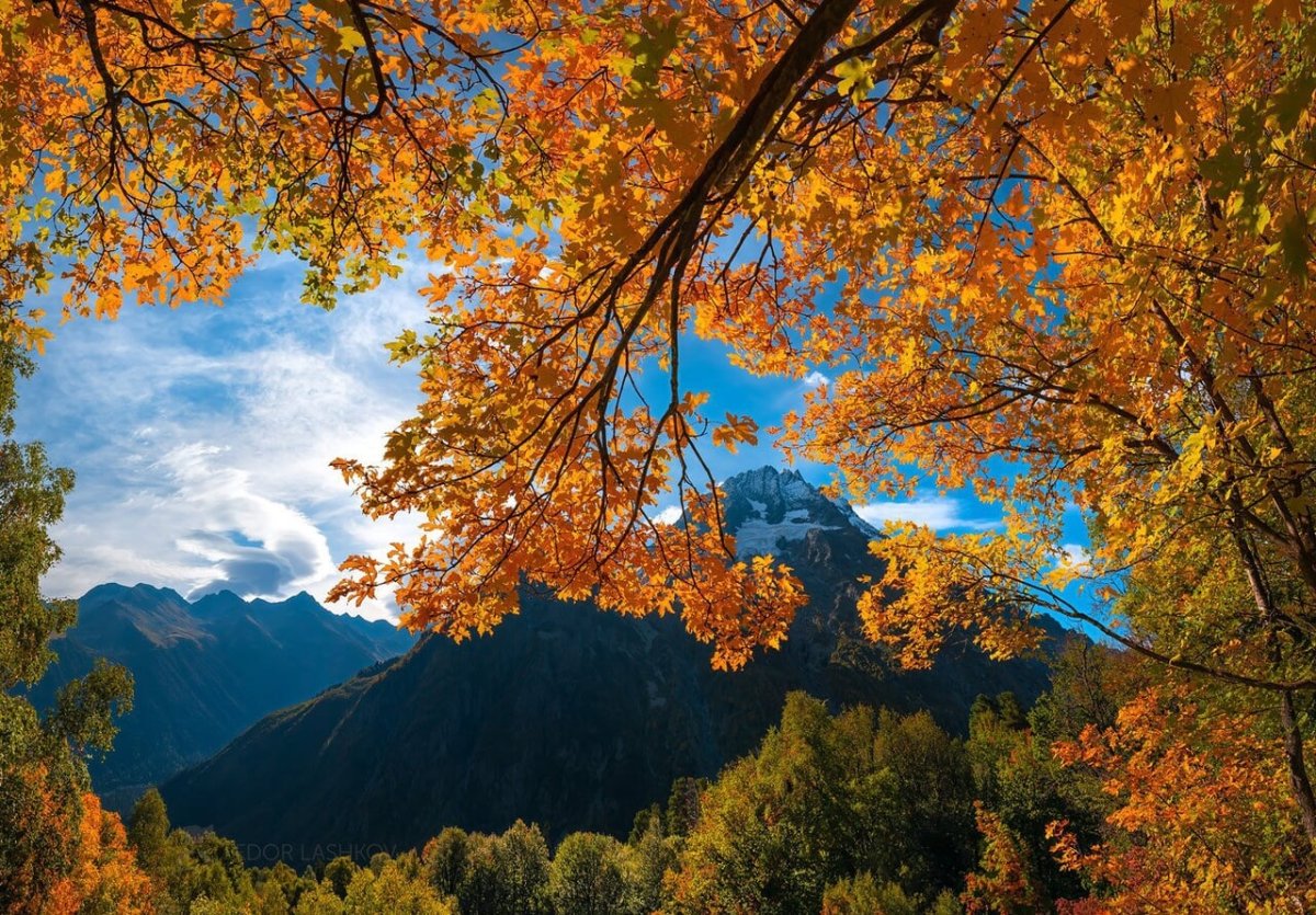 Картинки осень красивые пейзажи листопад