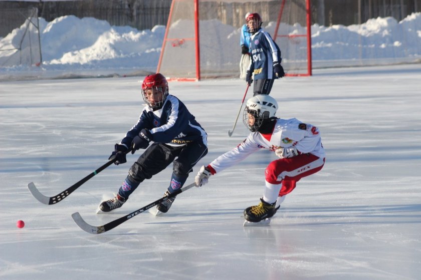 Bandy хоккей с мячом