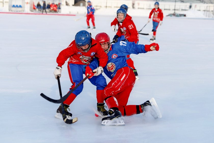 Bandy хоккей с мячом