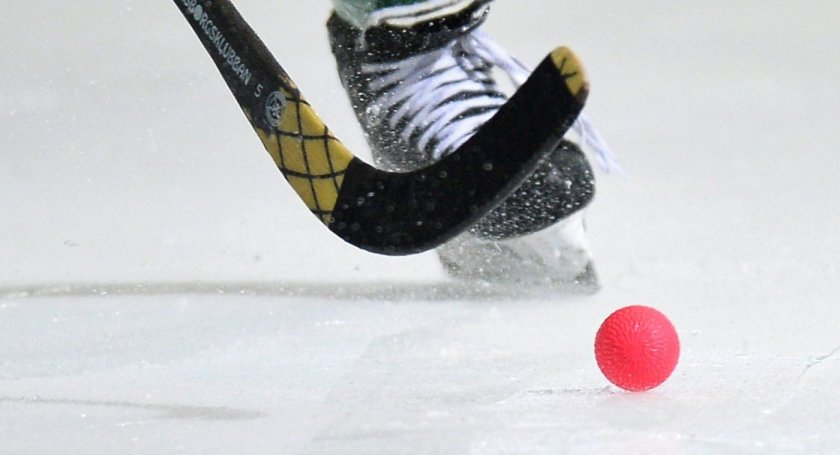 Bandy хоккей с мячом