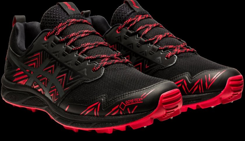 ASICS Gel Fujisetsu GTX