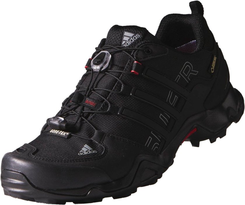 Adidas Terrex Swift Gortex