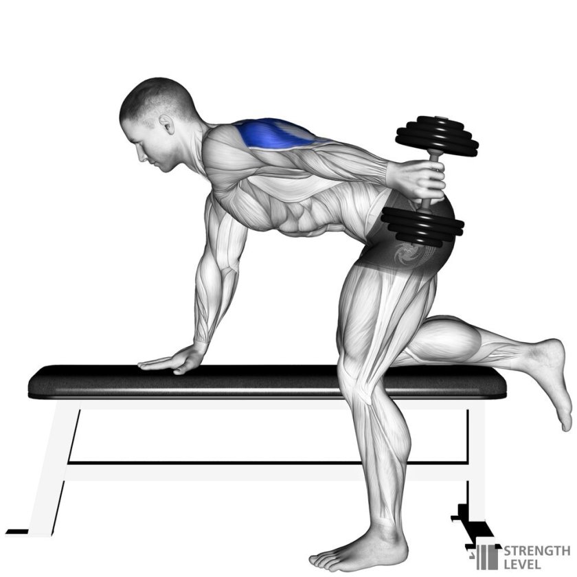 Cable Triceps kickback