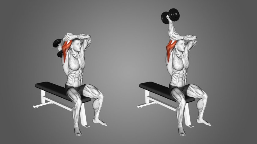 Overhead Triceps Extension