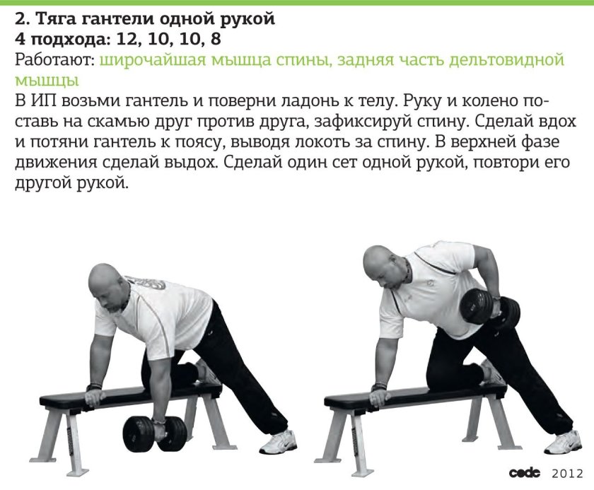 Тяга гантели к поясу с упором