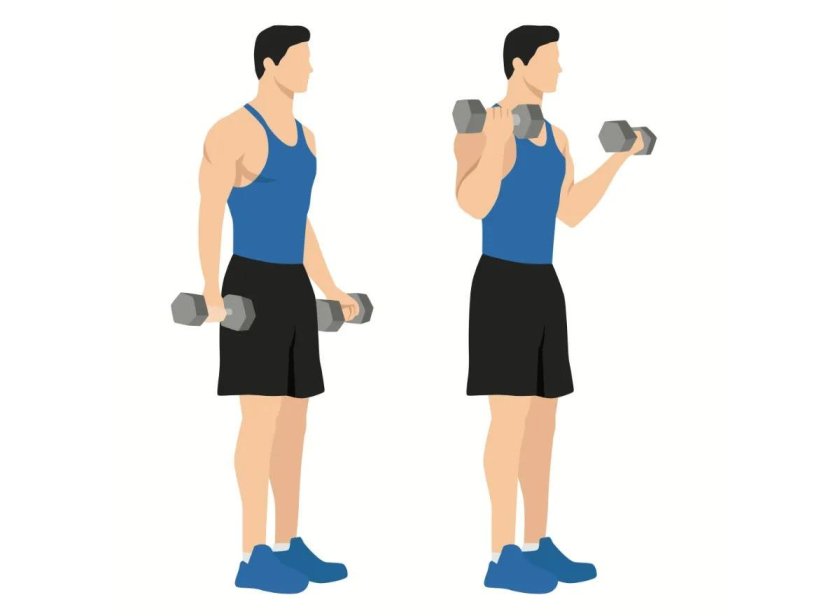 Dumbbell Bicep Curls