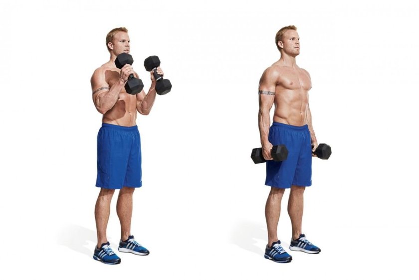 Dumbbell Hammer Curl
