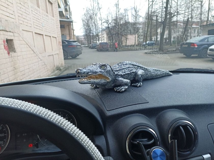 Крокодил в машине в очках