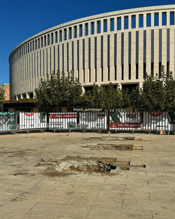 Квадратные деревья около стадиона Галицкого фото