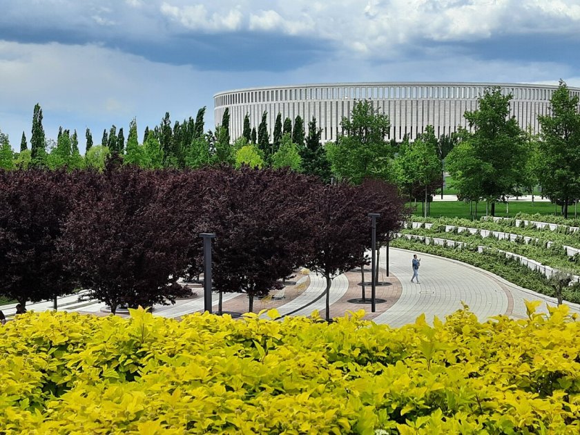 Парк Галицкого в Краснодаре платаны