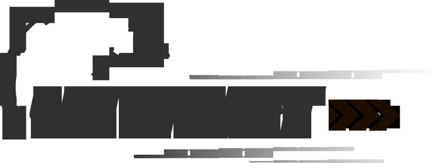 Логотип чип тюнинговой