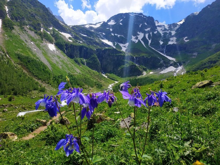 Архыз Альпийские Луга