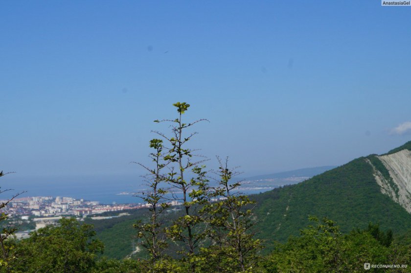 Гора Нексис в Геленджике фото