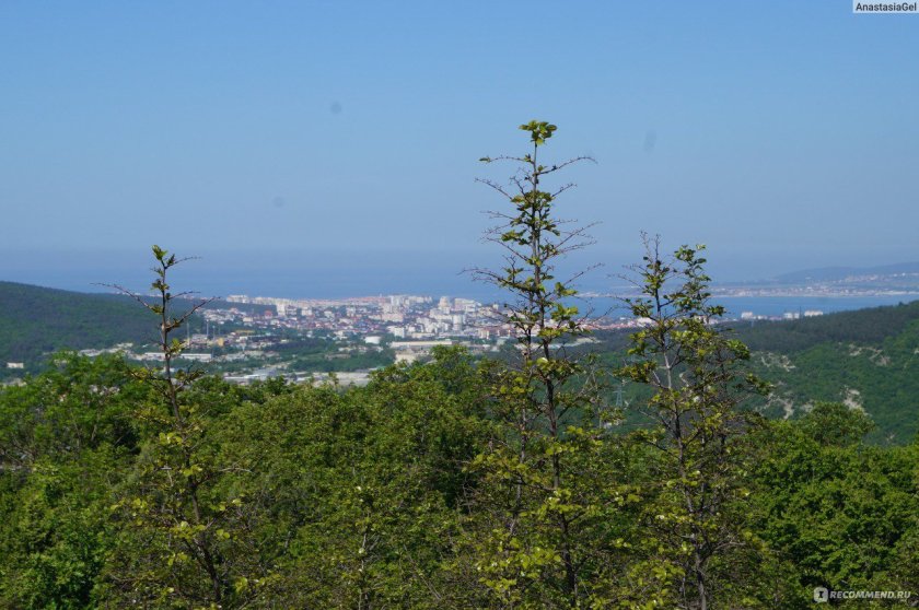Нексис гора в Геленджике паровоз