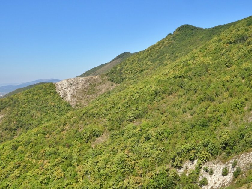 Гора Нексис в Геленджике фото