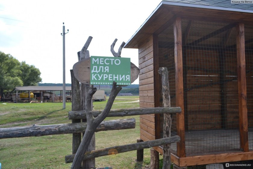 Кемпинг на Кудыкиной горе в Липецкой области