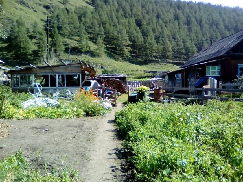 Элекмонар горный