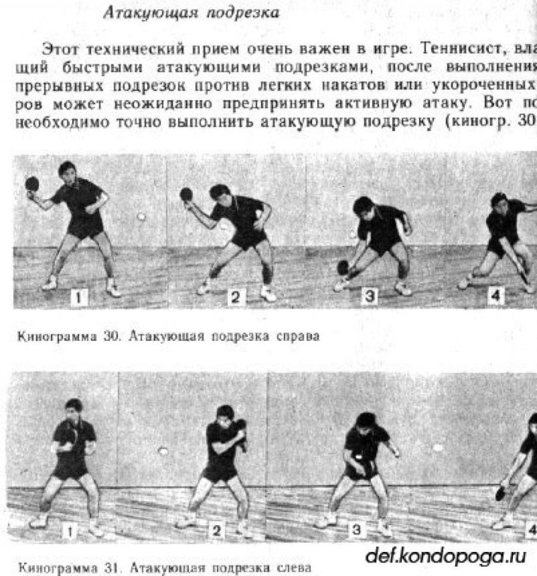 Техника игры в нападении настольный теннис