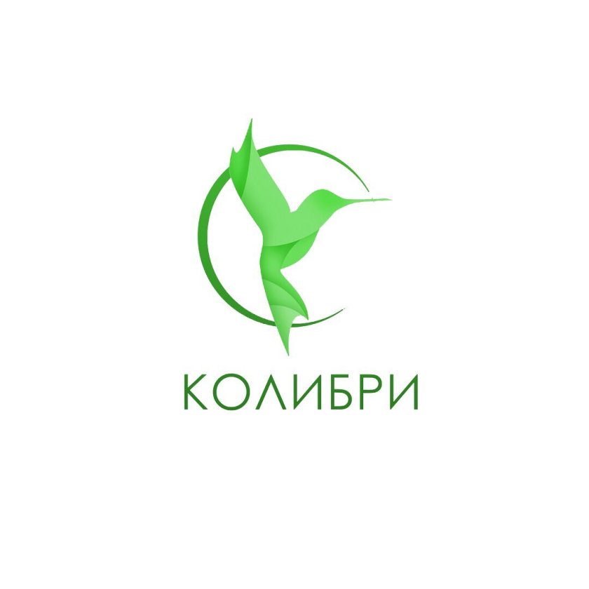 Колибри Академия художественной гимнастики Казань