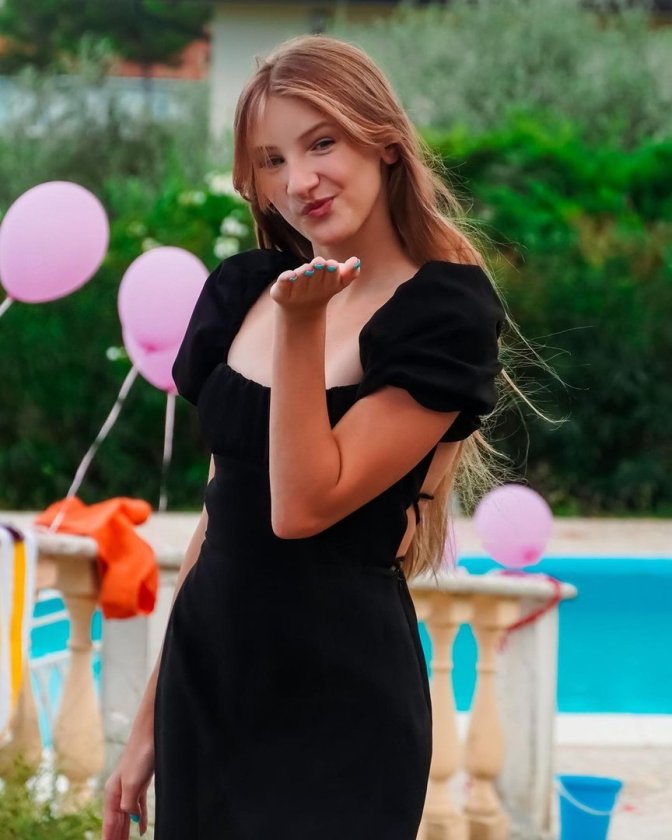 Мисс Николь блоггер