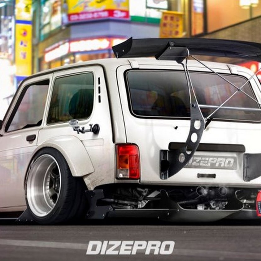 Niva stance