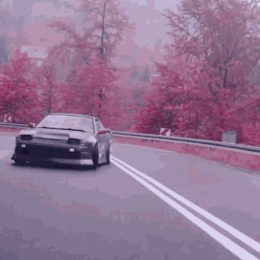 Машина под сакурой