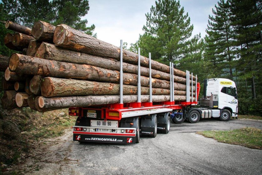 Iveco Stralis лесовоз