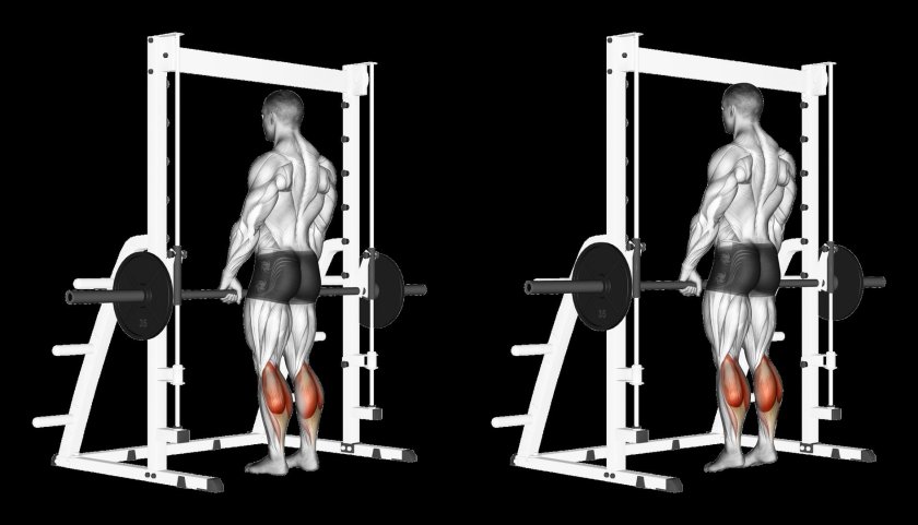 Подъем на носки стоя в тренажере Смита