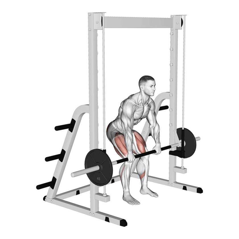 Smith Machine Calf raises muscle work