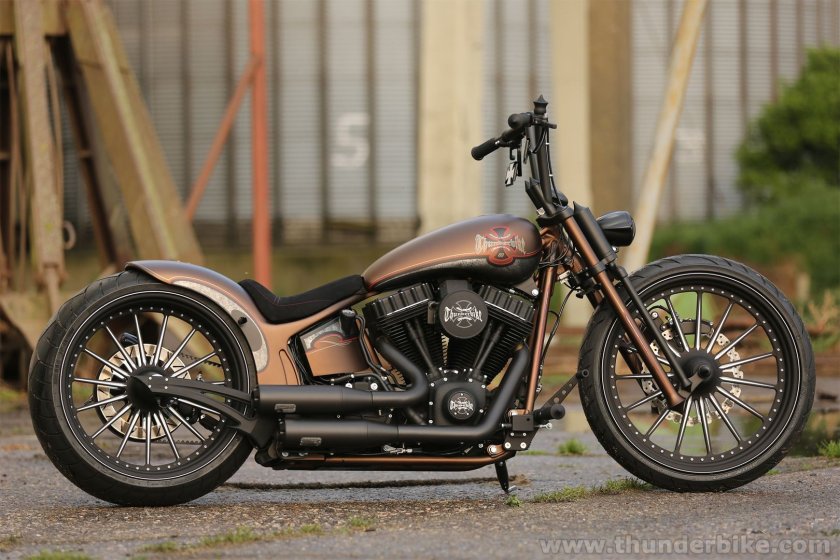 Мотоцикл Harley Davidson Custom