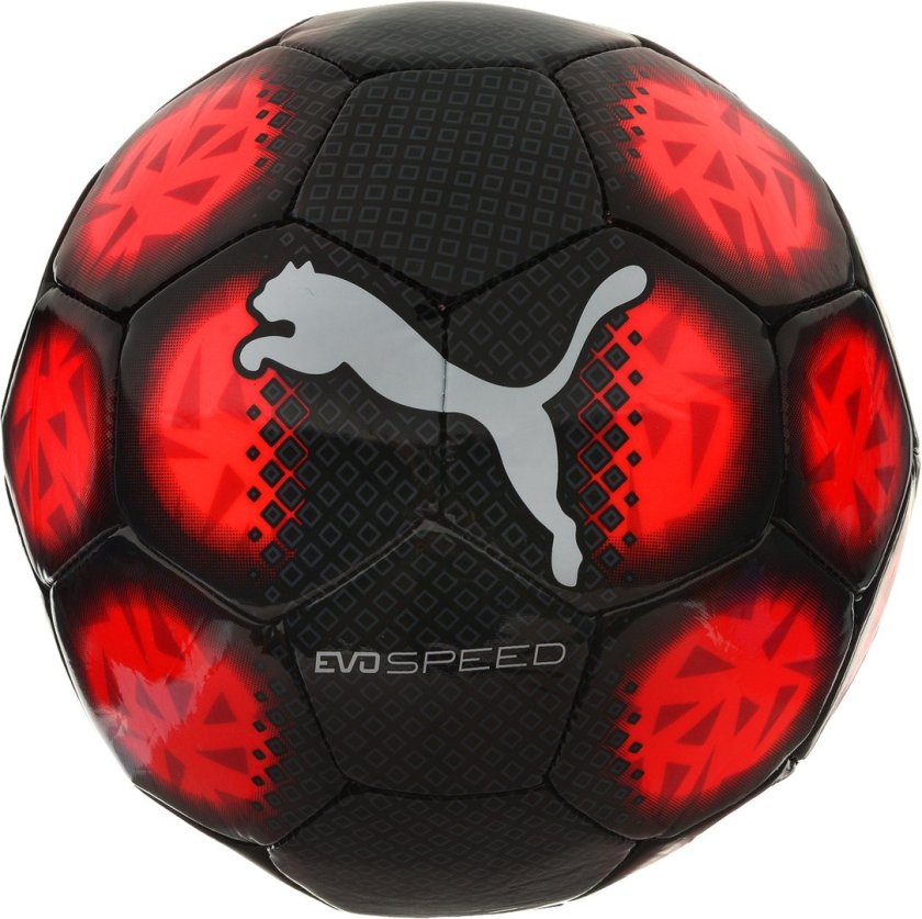 Мяч Puma EVOSPEED