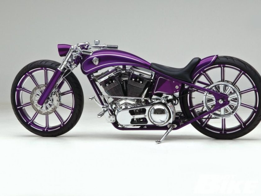 Arlen Ness Custom