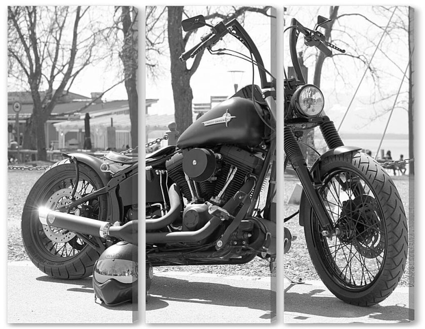 Harley Davidson Egoist