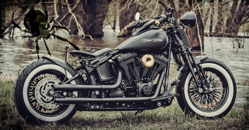 Harley Davidson Crossbones