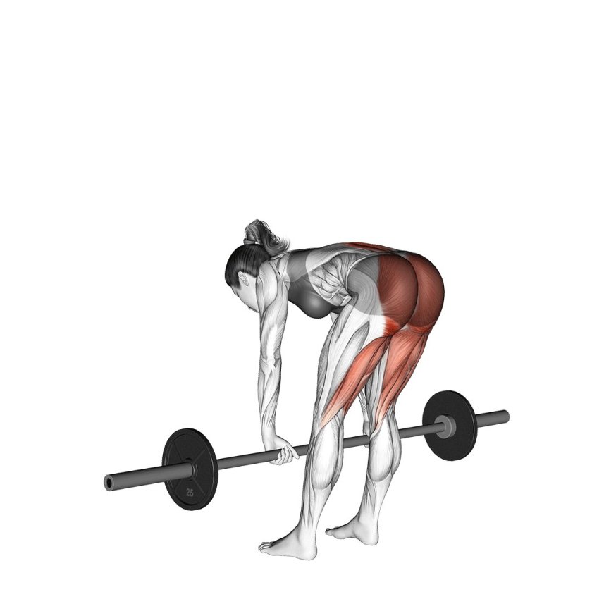 Dumbell straight Leg Deadlift