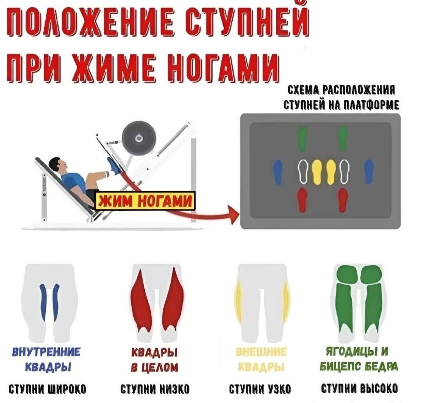 Жим ногами в тренажере постановка ног