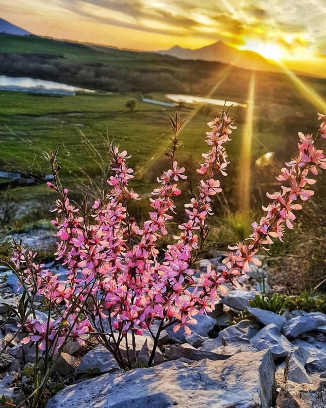 Кавминводы природа