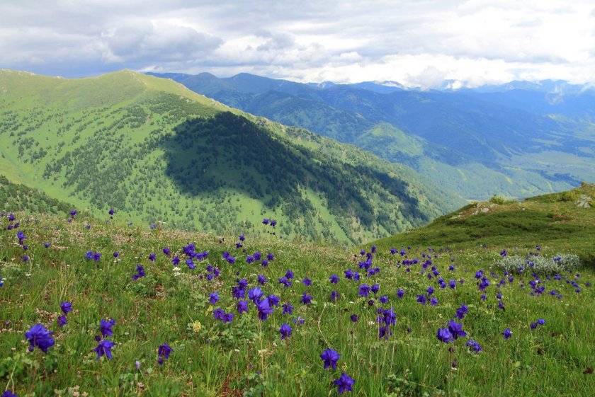 Альпийские Луга Армении
